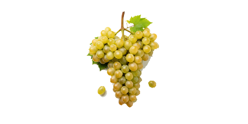 انگور