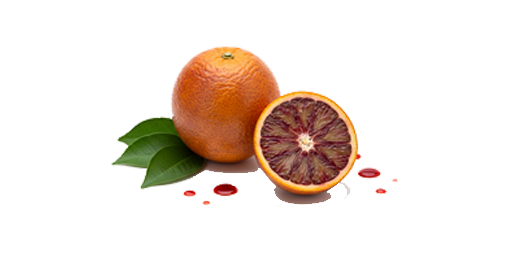 پرتغال خونی