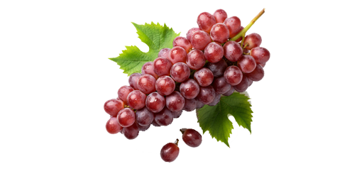 انگور قرمز
