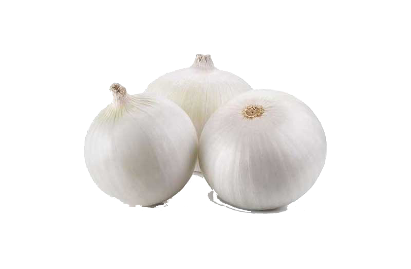 پیاز سفید