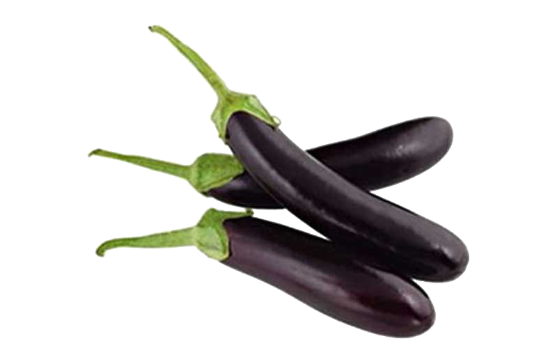 بادمجان قلمی