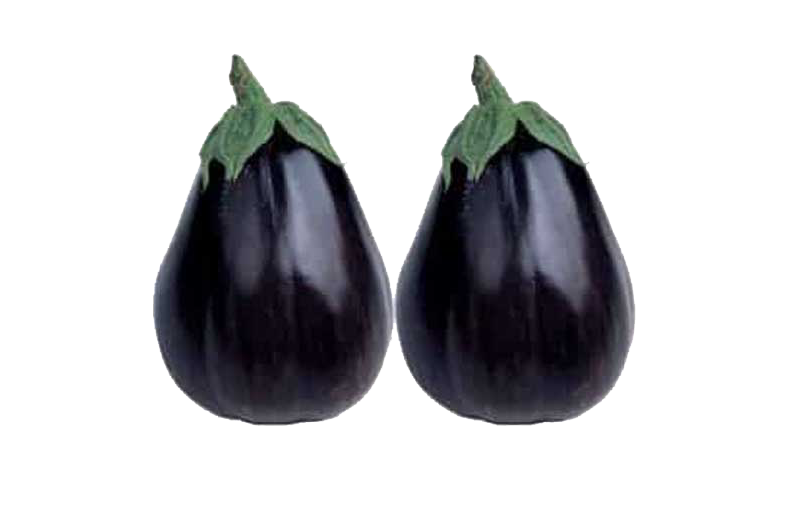 بادمجان دلمه ای