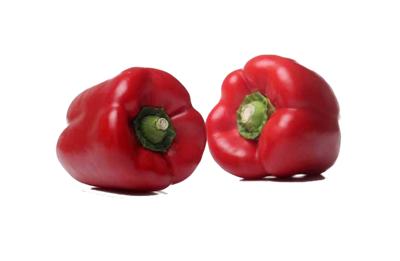 فلفل دلمه ای